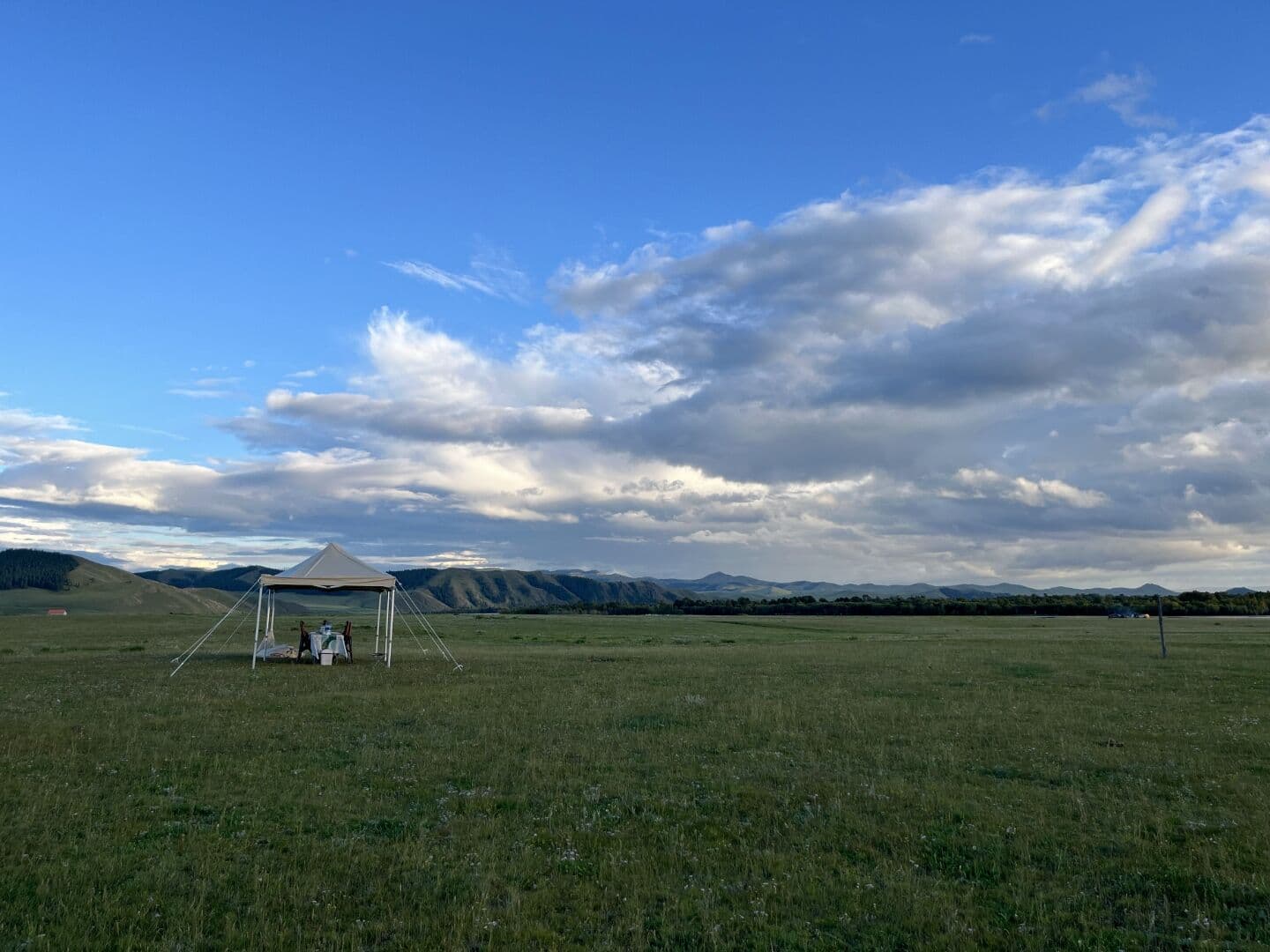 view