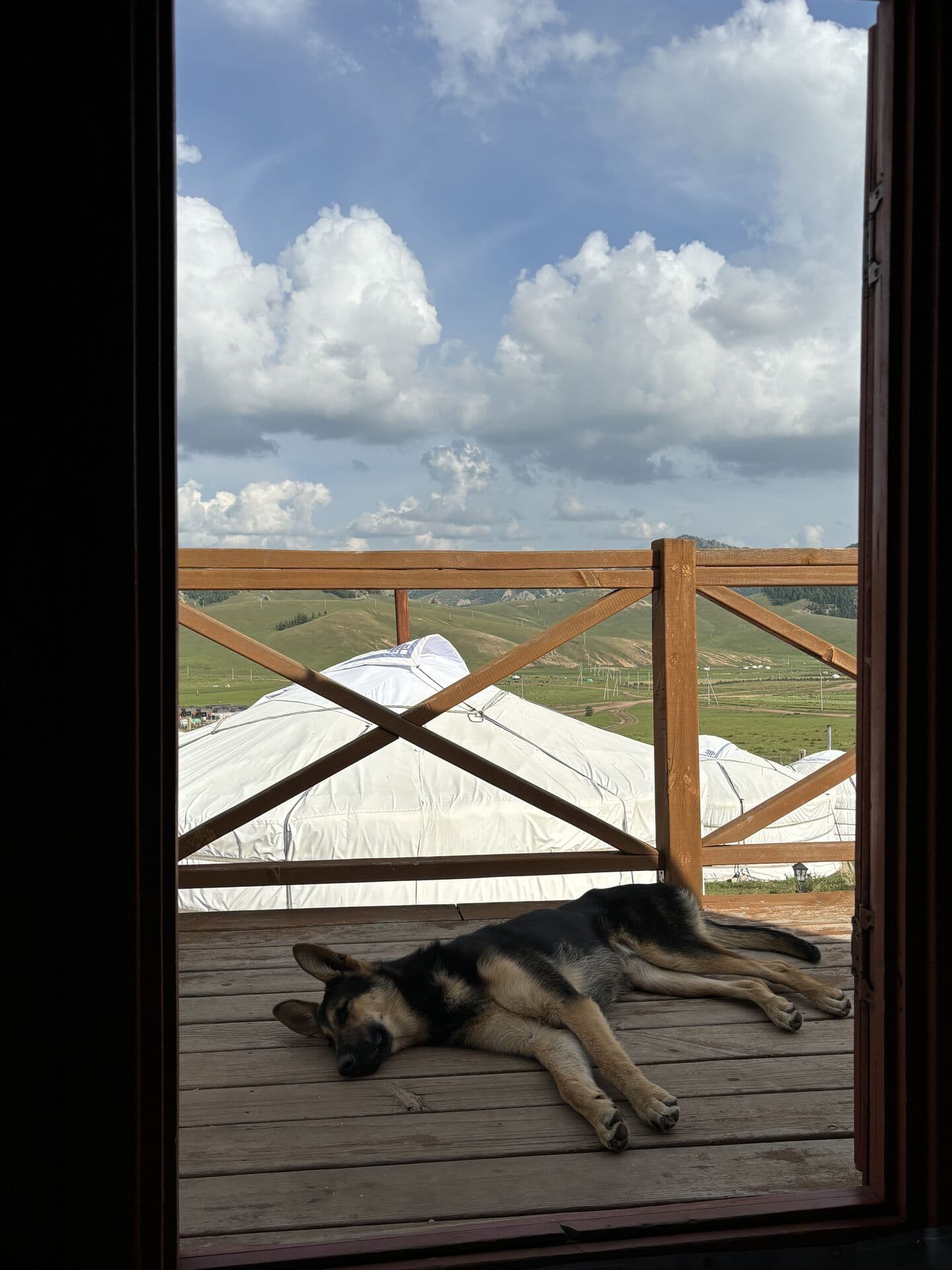 view