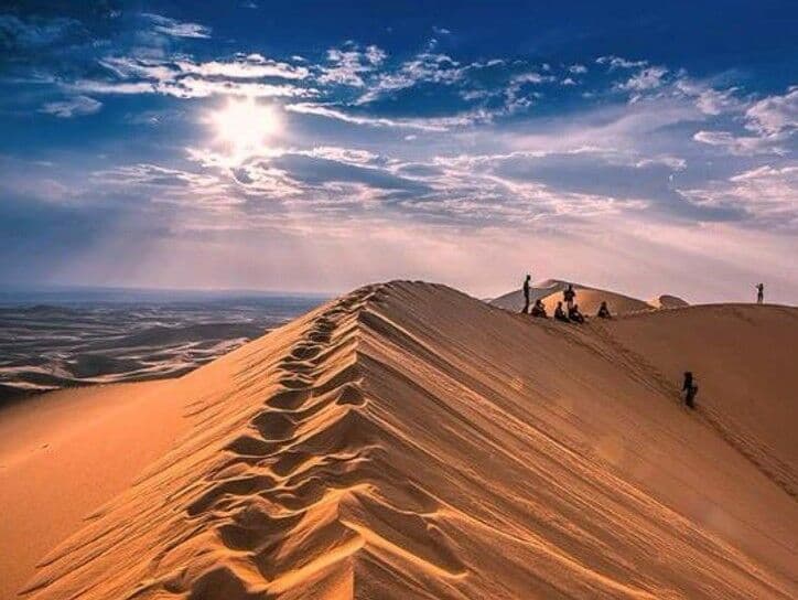 gobi